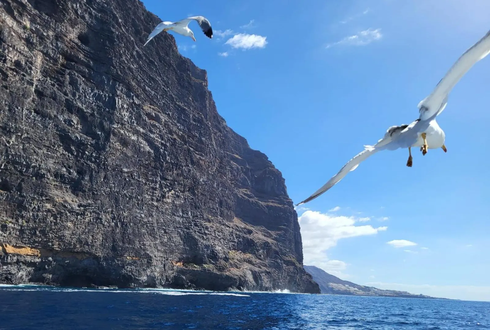 Apartamento Claudia En Lago Santiago Con Piscina Puerto de Santiago  Daire Puerto de Santiago (Tenerife)