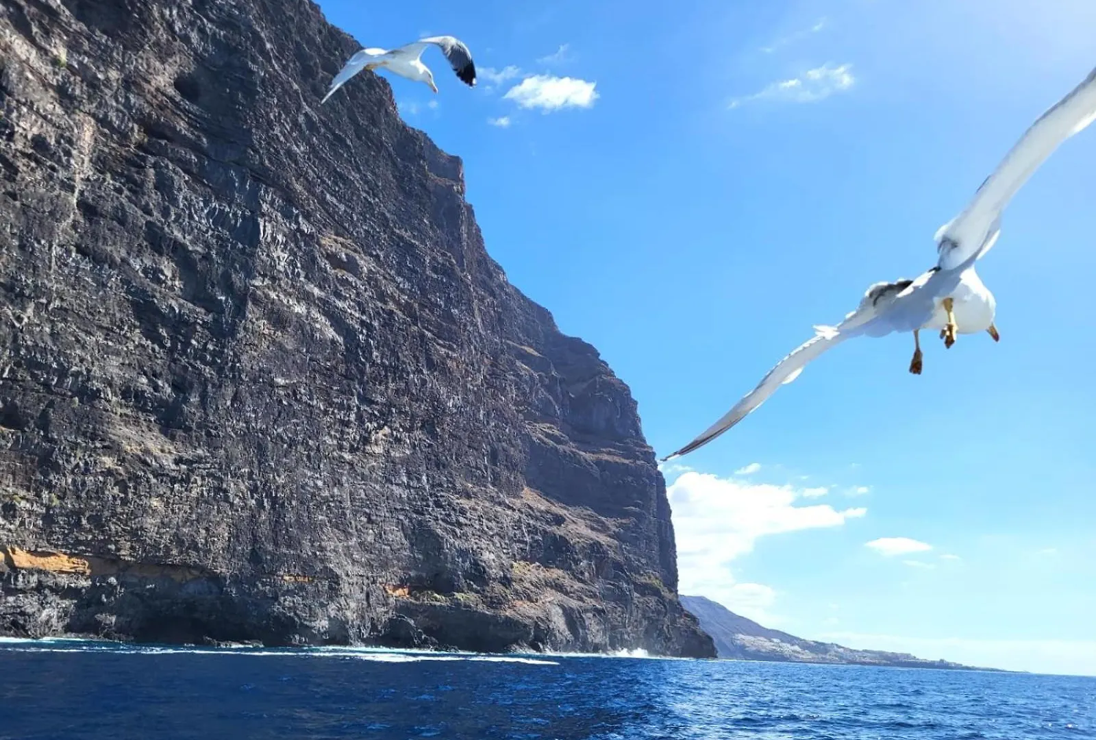 Apartamento Claudia En Lago Santiago Con Piscina Puerto de Santiago  Puerto de Santiago (Tenerife)