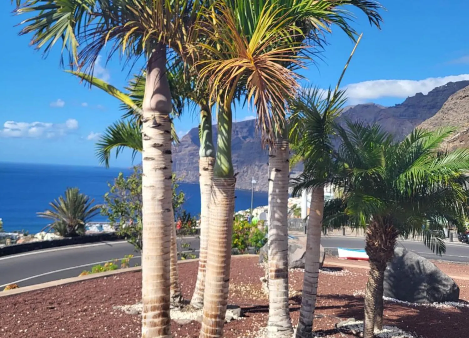 Apartamento Claudia En Lago Santiago Con Piscina Puerto de Santiago  Puerto de Santiago (Tenerife)